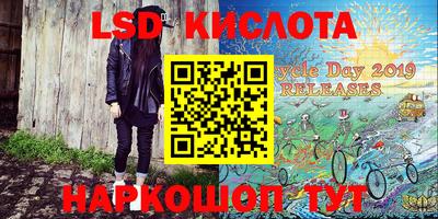 спайс Берёзовский
