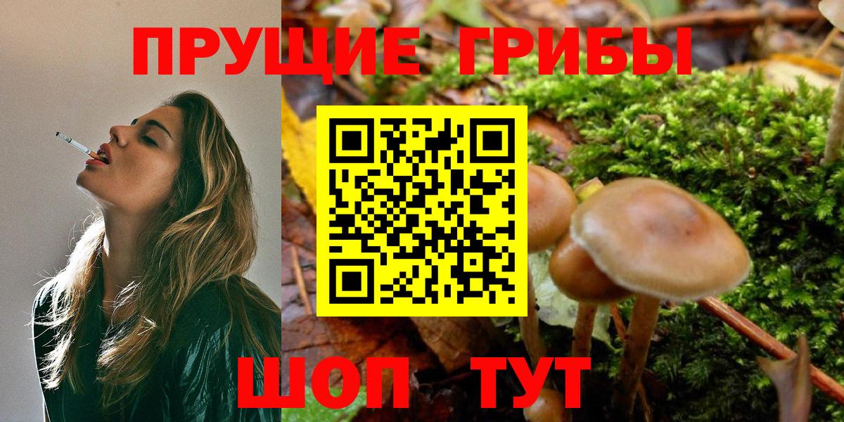 Псилоцибиновые грибы мухоморы  Псилоцибиновые грибы Psilocybe  Златоуст  наркотики  Вход с VPN 